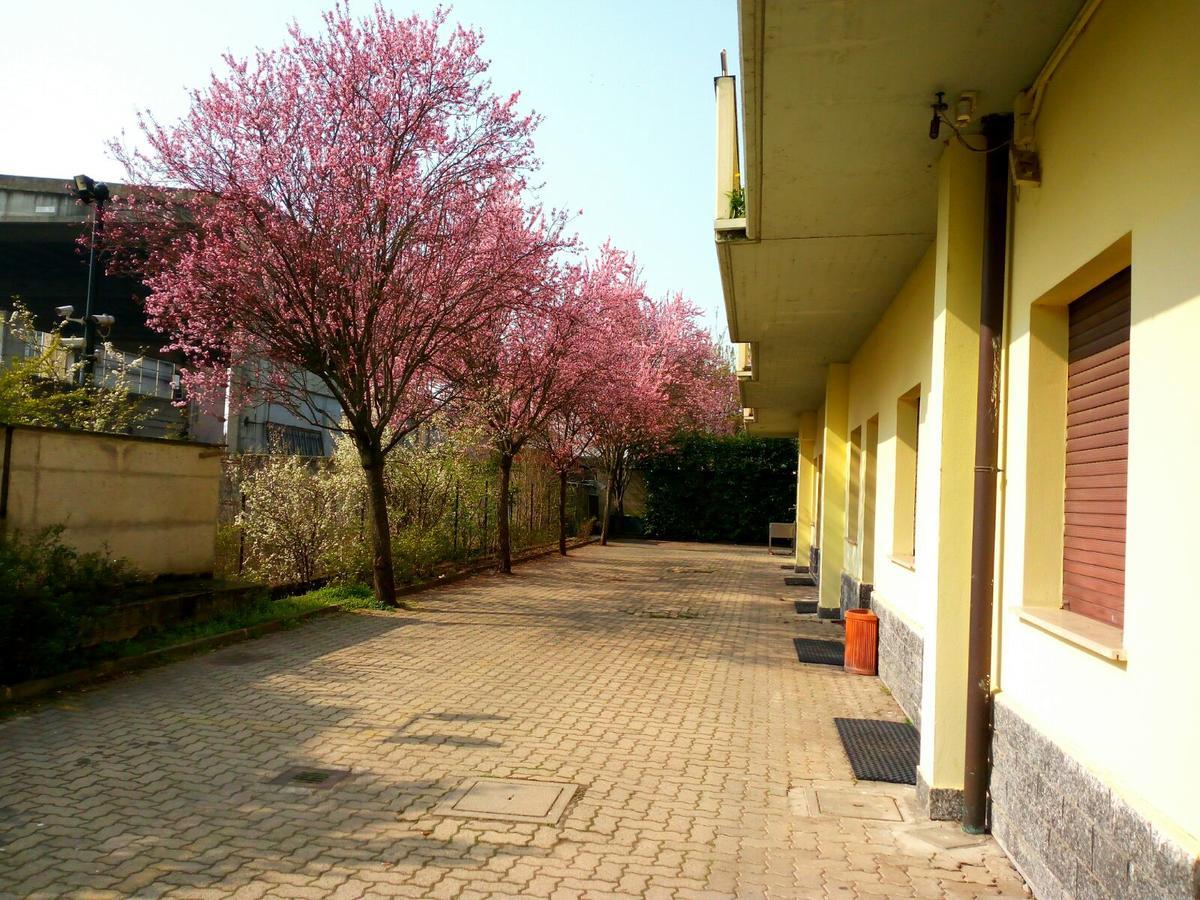 Nuovo Hotel Виджевано Экстерьер фото